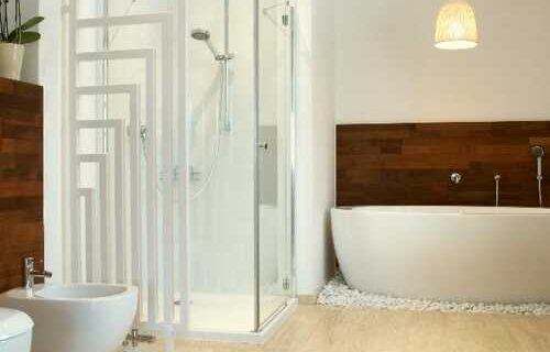Walk in tub Vs Walk in Shower Best Home Remodeling